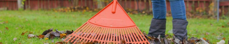 autumn garden cleaning foliage girl with a rake