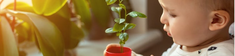 child with pot plant