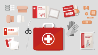 Contents of a first aid kit