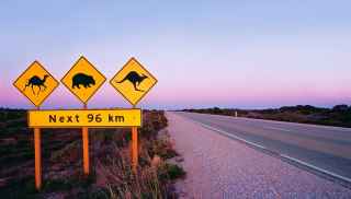 Road signs in the outback