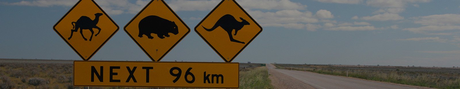 Wildlife warning sign on outback road