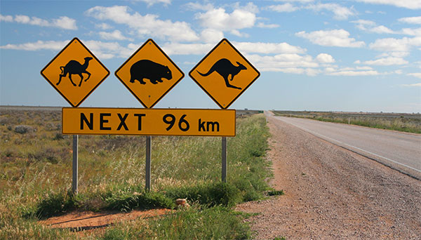 Aami Content Insurance