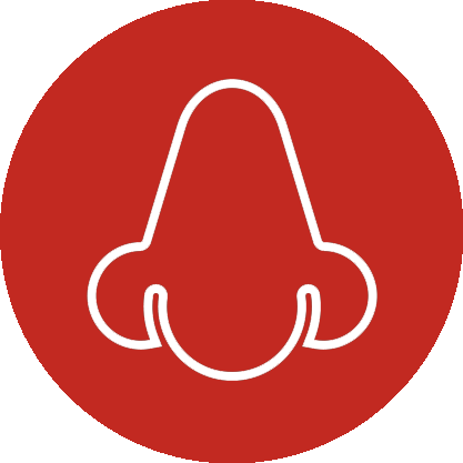 White nose icon in a red circle