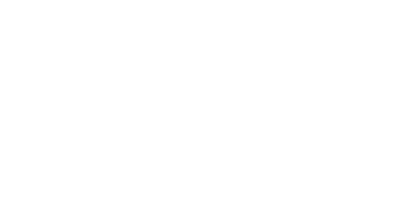 White checklist icon