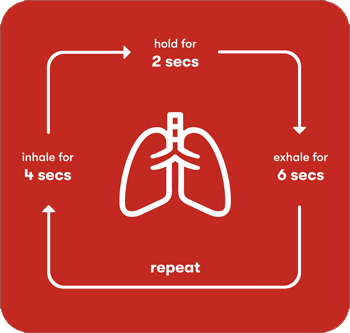 How to slow your breathing. Inhale for 4 second, hold for two seconds, exhale for 6 seconds, then repeat.