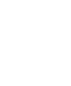White checklist icon