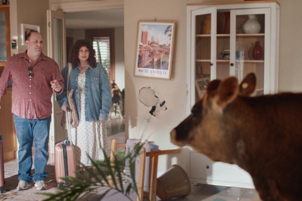 Man and woman standing in their living room doorway after a trip to find a cow in the room surrounded by damaged furniture