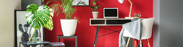 Desk and chair against a red wall
