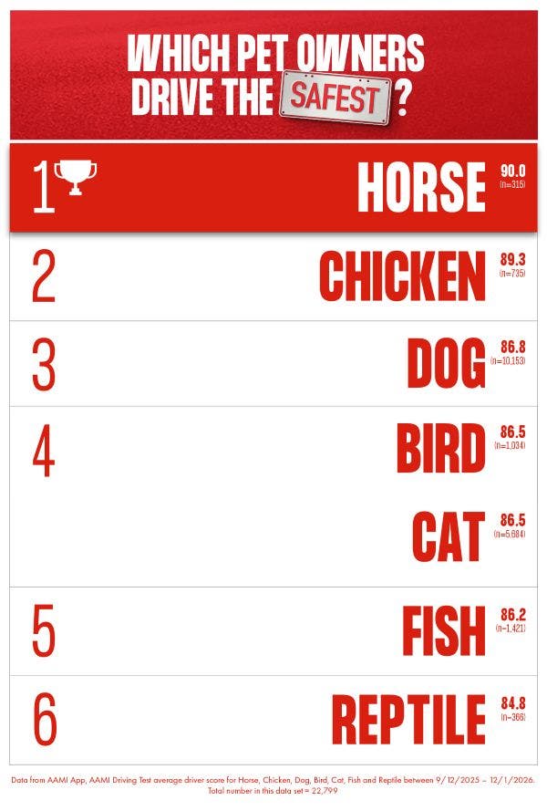 Leaderboard of pet owners who drive the safest