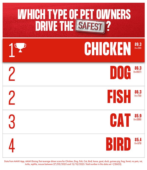 Leaderboard of pet owners who drive the safest