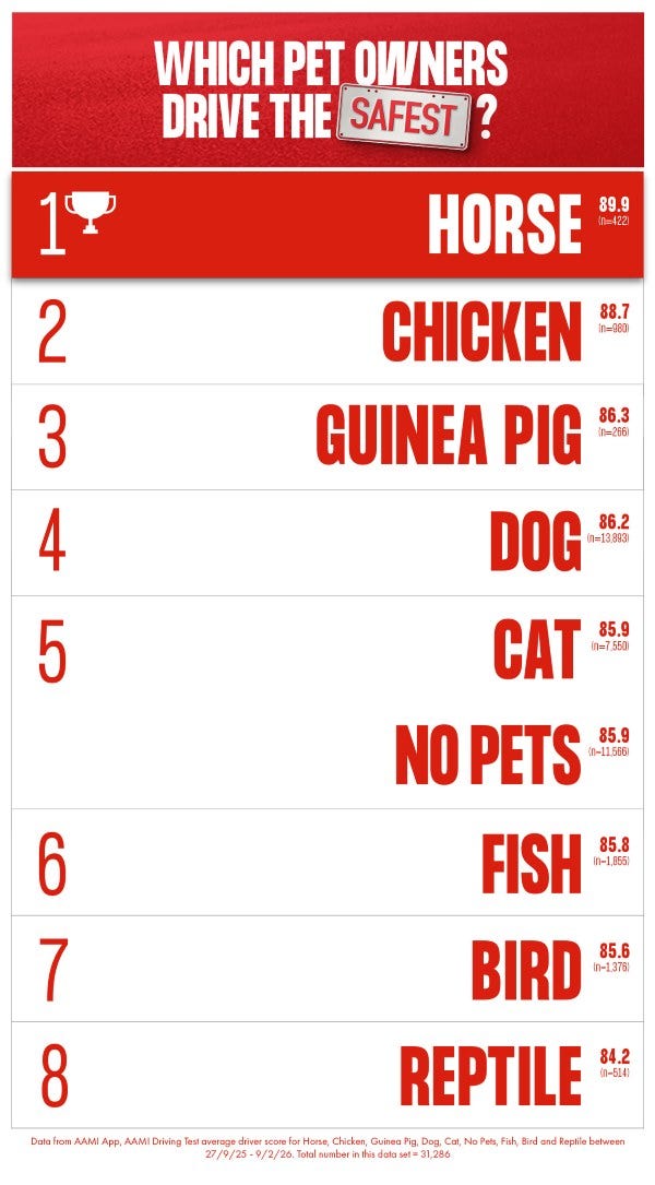 Horse owners drove the safest